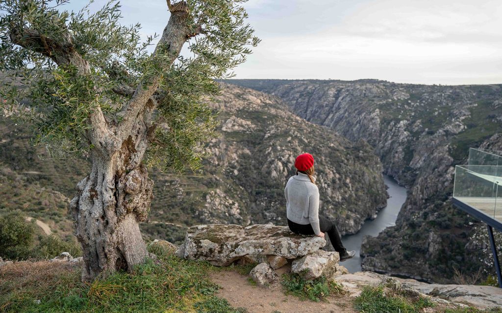 Near Miranda do Douro, one of the most beautiful villages in Portugal