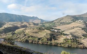 Beautiful landscape of the Douro Valley with its terraced vineyards rolling down to the Douro River