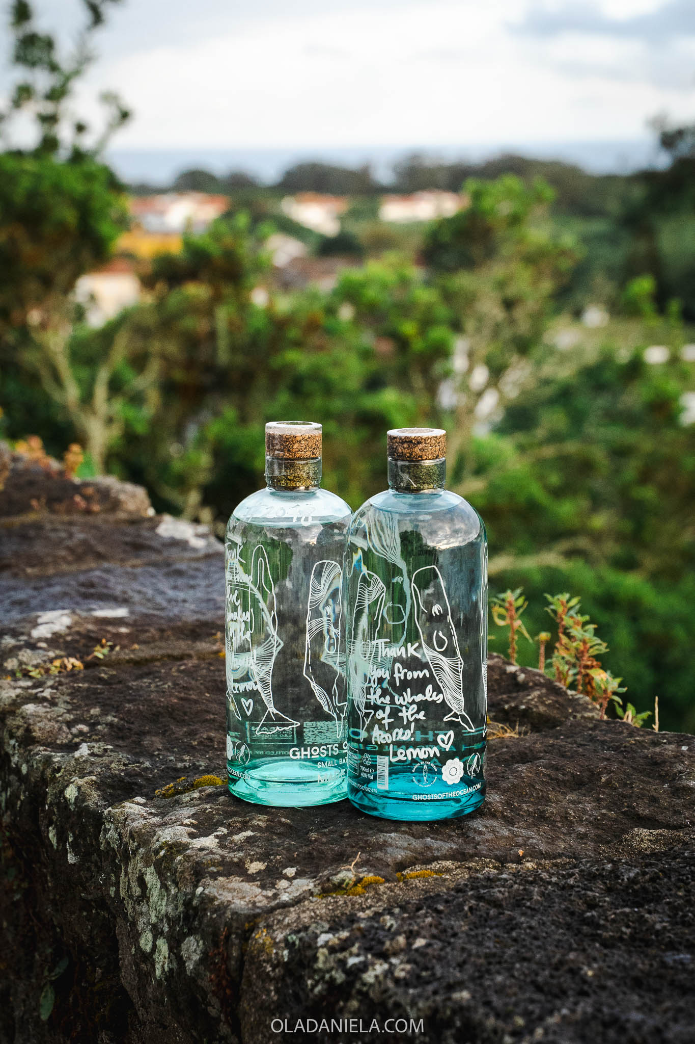 Bottles of gin at The Gin Library on São Miguel Island