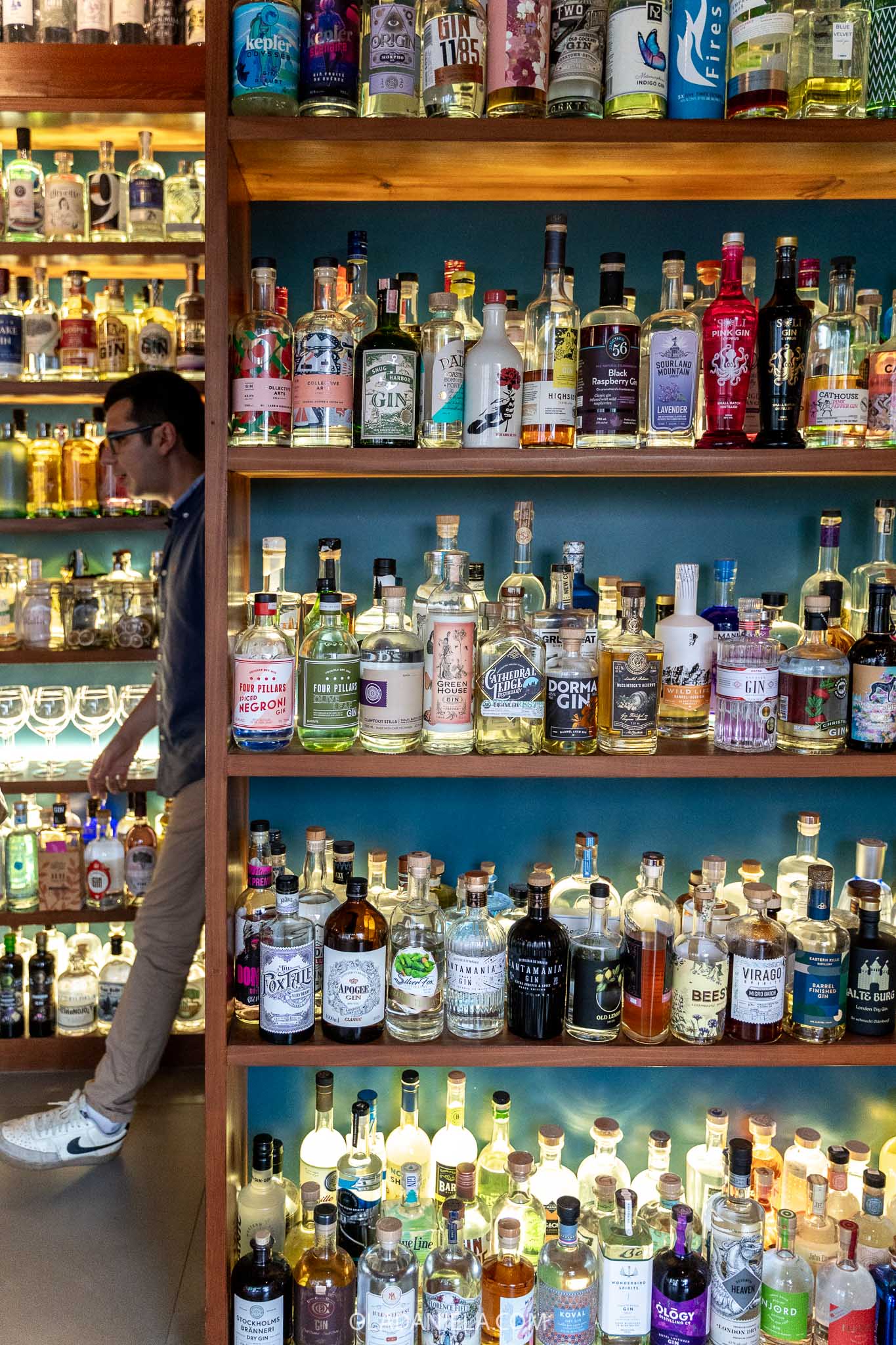 The Gin Library is one of the best bars on São Miguel Island, Azores