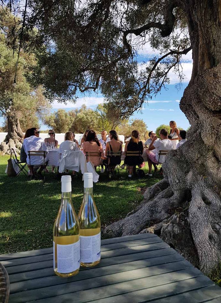 Table setting and wine at Morgado do Quintao wine tasting, Algarve, Portugal