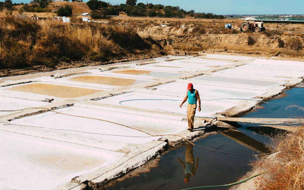 Salt fields, Castro Marim, Portugal