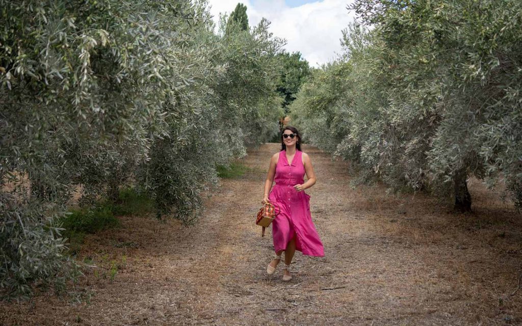 MOnterosa olive oil farm azeite algarve