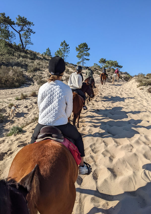 Cavalos na Areia - horse riding in Comporta on the beach