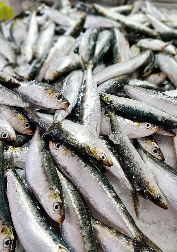 Sardines are celebrated at a food festival in Portugal